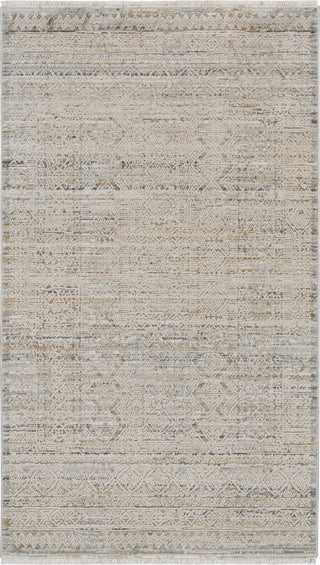 Nourison Nyle NYE06 Ivory Multicolor Area Rug Texture Image