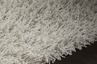 Chandra Nyla NYL-43301 Area Rug Detail Feature