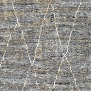 Surya Nalan NYL-2301 Area Rug Swatch