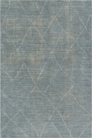 Surya Nalan NYL-2302 Area Rug main image