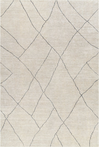 Surya Nalan NYL-2303 Area Rug main image