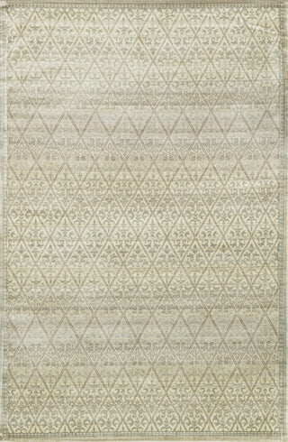 Loloi Nyla NY-01 Slate / Gold Area Rug Main Image 