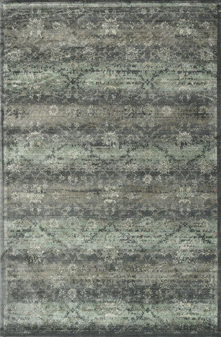 Loloi Nyla NY-11 Charcoal Area Rug main image