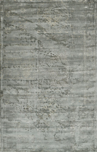 Loloi Nyla NY-13 Mist Area Rug main image