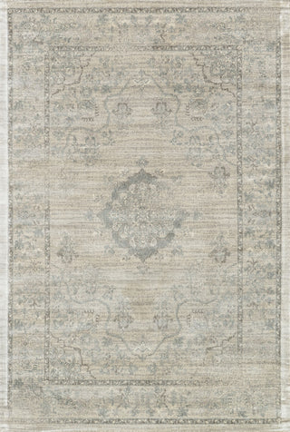 Loloi Nyla NY-15 Beige / Blue Area Rug Main Image