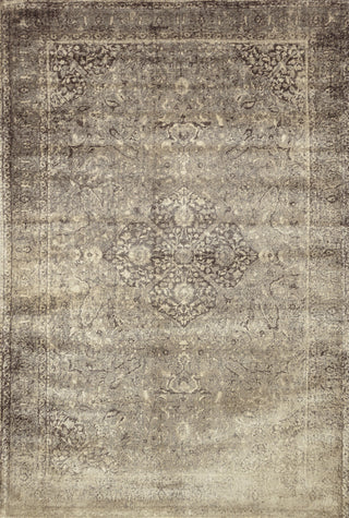 Loloi Nyla NY-20 Sand / Dark Brown Area Rug Main Image 