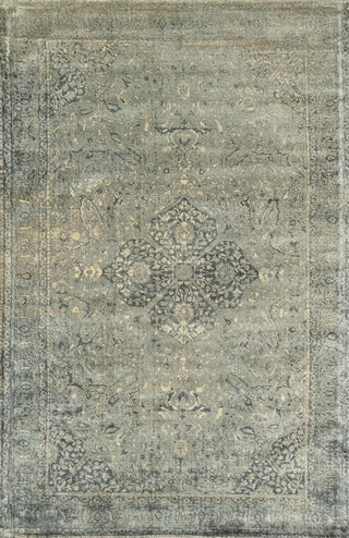 Loloi Nyla NY-20 Slate Area Rug main image