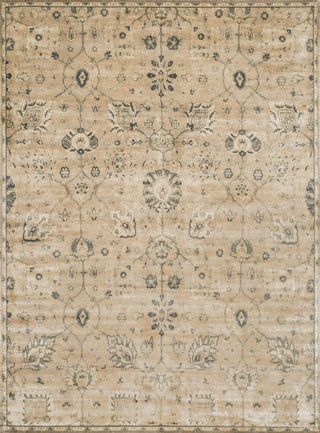 Loloi Nyla NY-24 Sand / Charcoal Area Rug main image