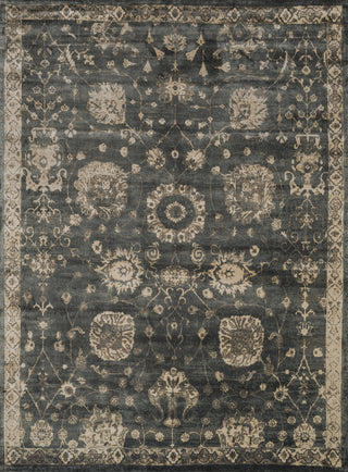 Loloi Nyla NY-25 Charcoal / Beige Area Rug Main Image