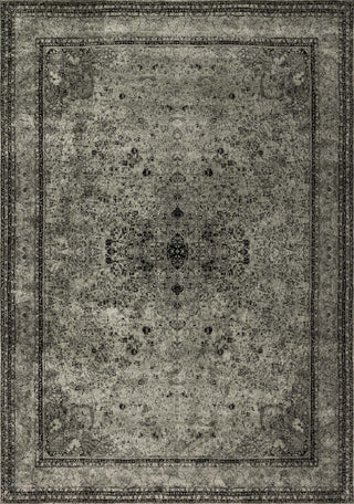 Loloi Nyla NY-26 Silver Area Rug main image