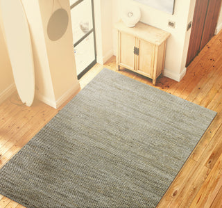 Bashian Natural O109-BN102 Grey Area Rug Room Scene Feature