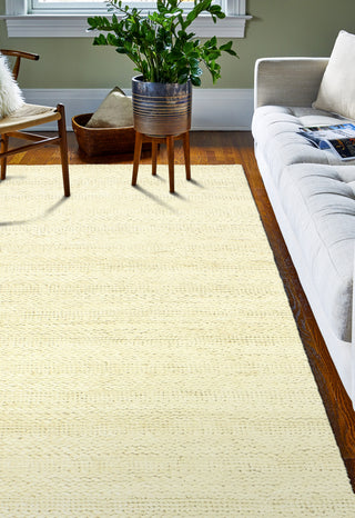 Bashian Natural O109-BN103 Ivory Area Rug Room Scene Feature