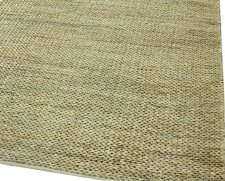 Bashian Natural O109-BN102 Area Rug Alternate Shot Feature