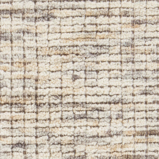 Chandra Oasis OAS-43402 Beige Area Rug Close Up