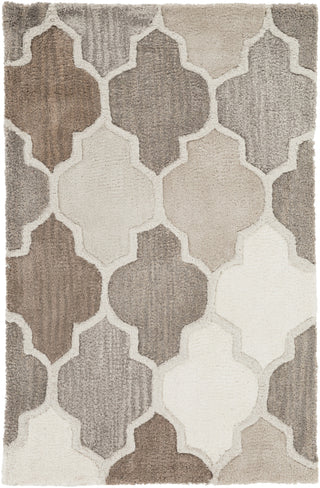 Surya Oasis OAS-1088 Gray Hand Tufted Area Rug 2' X 3'