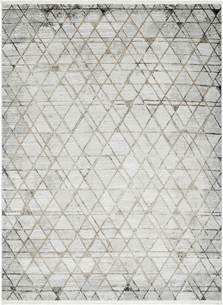 Surya Obsession OBN-2302 Area Rug main image