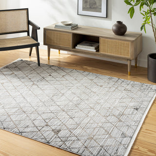 Surya Obsession OBN-2302 Area Rug Room Scene