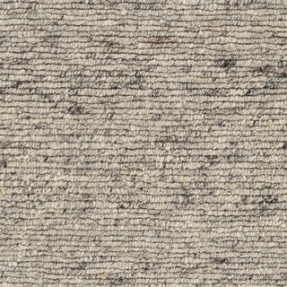 Surya Odessa ODS-2301 Area Rug Swatch