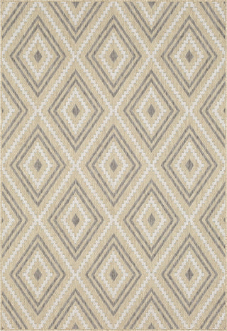 Karastan Drew and Jonathan Outdoor Oldenburg White Alyssum Area Rug Main Image