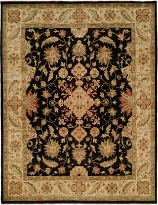 Ancient Boundaries Omni OMN-01 Area Rug main image