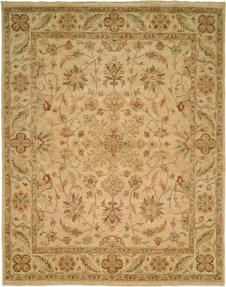 Ancient Boundaries Omni OMN-04 Area Rug main image