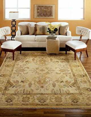 Ancient Boundaries Omni OMN-09 Area Rug Room Scene Image