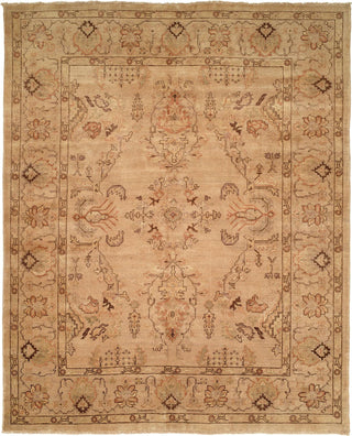 Ancient Boundaries Omni OMN-09 Area Rug main image