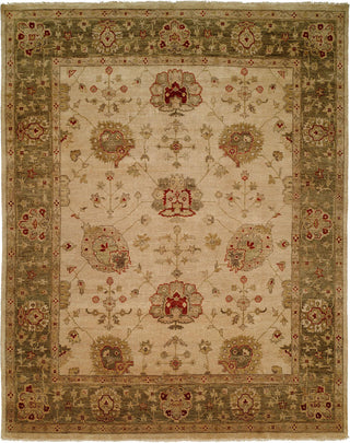 Ancient Boundaries Omni OMN-17 Area Rug main image