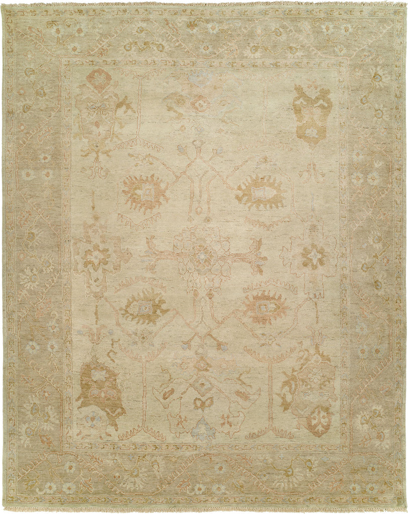 Ancient Boundaries Omni OMN-33 Area Rug main image