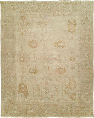 Ancient Boundaries Omni OMN-33 Area Rug main image