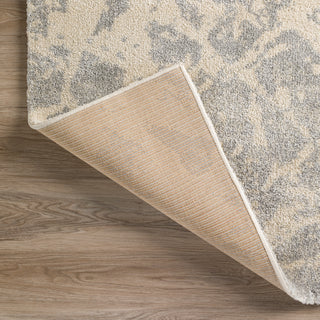 Dalyn Orleans OR3 Ivory Area Rug