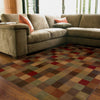 Oriental Weavers Allure 003A1 Brown/Red Area Rug Room shot Feature