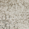 Oriental Weavers Alton 070E9 Beige/Grey Area Rug Close-up Image