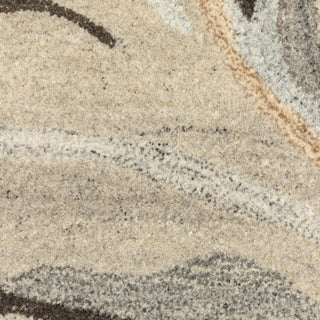 Oriental Weavers Anastasia 68007 Beige/Charcoal Area Rug Close-up Image