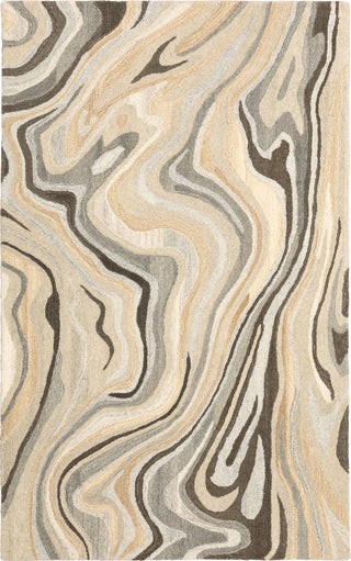 Oriental Weavers Anastasia 68007 Beige/Charcoal Area Rug main image