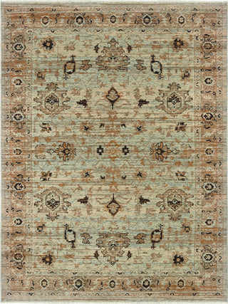 Oriental Weavers Anatolia 8020H Blue Gold Area Rug main image