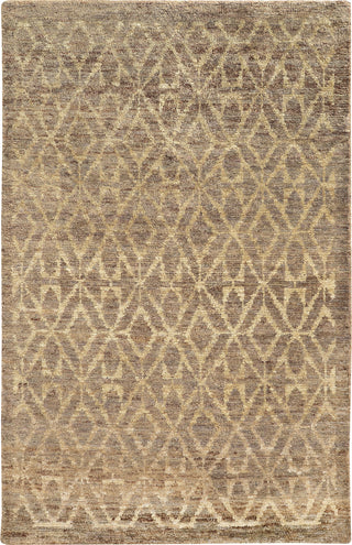 Tommy Bahama Ansley 50907 Taupe Area Rug Main