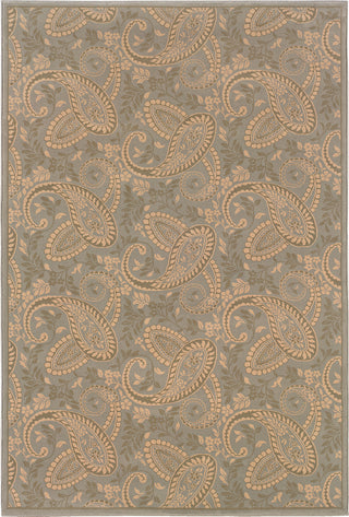 Oriental Weavers Ariana 2284C Blue/Gold Area Rug main image