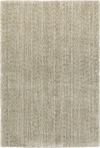 Oriental Weavers Aspen 829J9 Stone/Stone Area Rug main image featured