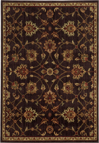 Oriental Weavers Aston 505N9 Brown/Beige Area Rug main image