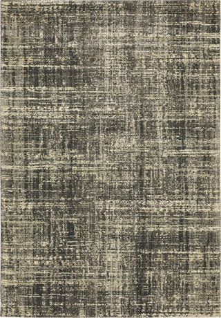 Oriental Weavers Astor 2541M Charcoal/ Beige Area Rug Main Image