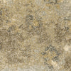 Oriental Weavers Astor 8322J Gold/ Beige Area Rug Close-up Image