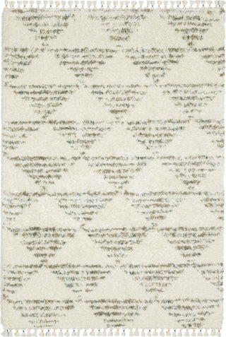 Oriental Weavers Axis AX05A Ivory/Multi Area Rug main image