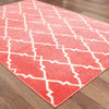 Oriental Weavers Barbados 5996S Pink/Ivory Area Rug Detail Shot Feature
