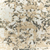Oriental Weavers Bowen 2067W Grey Gold Area Rug Close-up Image