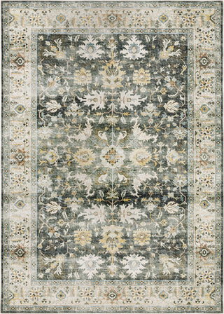 Oriental Weavers Charleston CHA09 Blue/Gold Area Rug main image