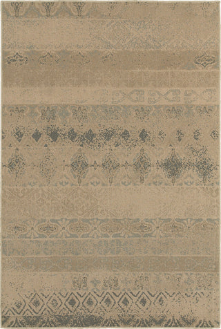 Oriental Weavers Chloe 3691H Tan/Blue Area Rug main image