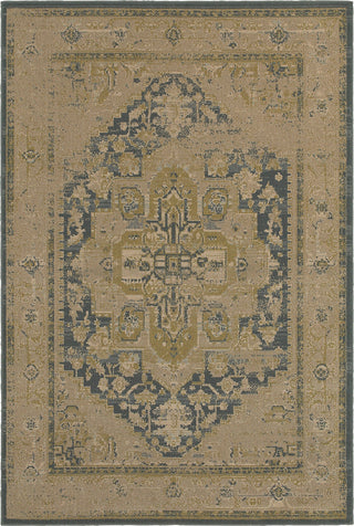 Oriental Weavers Chloe 4694A Tan/Blue Area Rug main image