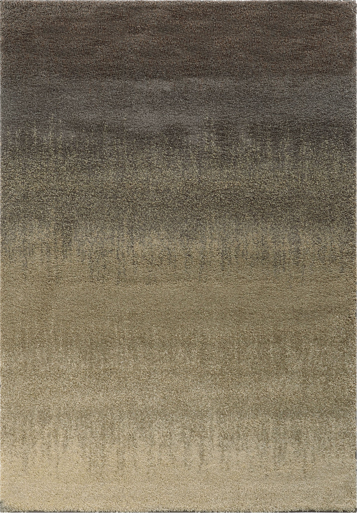 Oriental Weavers Covington 002J6 Grey/Beige Area Rug main image
