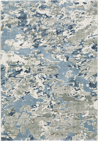 Oriental Weavers Easton 3317E Grey/Blue Area Rug main image